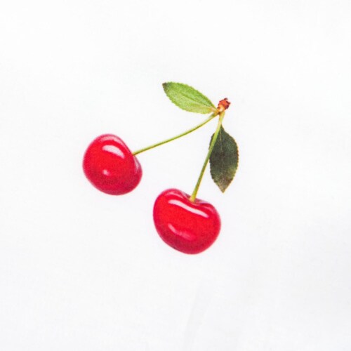 Snurk Cherries dekbedovertrek -240x200/220 cm
